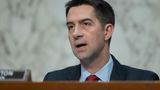 Tom Cotton asks Supreme Court to 'rein in' rogue judges as courts appear more polarized
