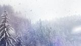 New England braces for harsh winter, blackouts amid energy crisis