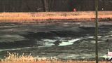 Toxic spill at power plant impacts environment
