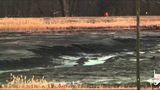 Toxic spill at power plant impacts environment