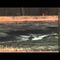 Toxic spill at power plant impacts environment