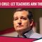Ted Cruz: If Teachers Want To Arm Themselves, Let Them!