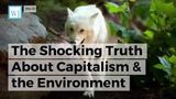 The Shocking Truth About Capitalism & the Environment That No Leftist Will Ever Tell You