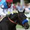 Controversial 2021 Kentucky Derby-winning horse dies