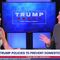 Real News Insights w/ Steve Rogers