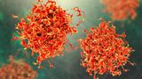 FDA approves pancreatic cancer drug that nearly doubles survival time over chemotherapy