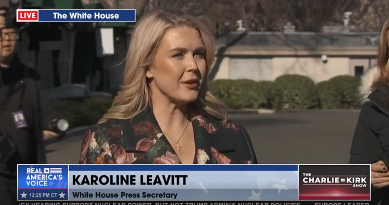 PRESS SEC TORCHES MEDIA ON ICE PROTESTORS: ORGANIZED GROUPS