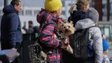 More than 5 million refugees have now fled Ukraine: United Nations