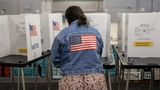 Close Virginia House race goes viral when Democrat candidate's live stream sex acts made public