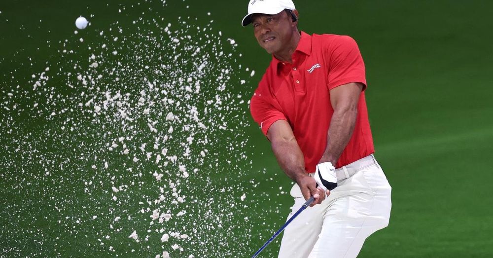 Tiger Woods says he is stepping back from golf to seek treatment amid DUI allegation