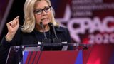 Liz Cheney rips Trump in opposition ad