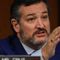 Tucker Carlson, Sen. Ted Cruz face off in interview over calling Jan. 6 a 'terrorist attack'