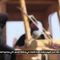White House weighs Syria travel restrictions