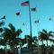 Mismanagement alleged at Pearl Harbor