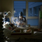 New US Study Helps Demystify Long COVID Brain Fog