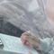 Election cheating? Stefanik challenger admits being caught on video altering ballot petitions
