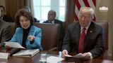 President Trump Hosts a Cabinet Meeting