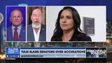 TULSI GABBARD SLAMS SENATORS