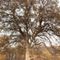 Caldor Fire blazes across California, Lake Tahoe evacuated