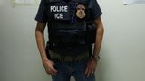 ICE announces arrests of over 200 alleged illegal migrant child sex offenders in Houston in 6 months