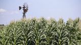 Farmers Risk Loss of Federal Payments, Loans, From Shutdown