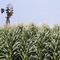Farmers Risk Loss of Federal Payments, Loans, From Shutdown