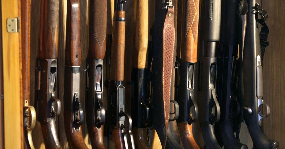 Gun ownership at record high, firearms in majority of households: survey
