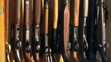 Virginia Senate committee advances bill to ban sales of 'assault firearms'