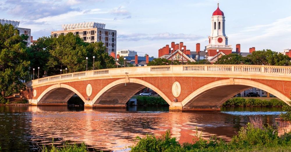 Harvard suspends library access from protesting faculty