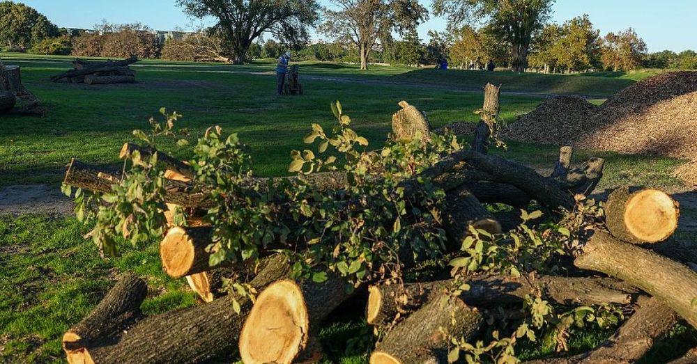 Trump posts photos of 'trash island' D.C. golf course after court hearing