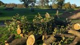 Trump posts photos of 'trash island' D.C. golf course after court hearing
