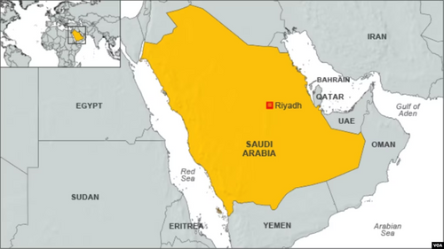 Saudi Arabia Releases American Jailed for Tweets Critical of Kingdom