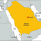 Saudi Arabia Releases American Jailed for Tweets Critical of Kingdom