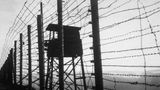 Ex-Nazi concentration camp guard removed from U.S. in 70th such deportation in history