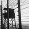 Ex-Nazi concentration camp guard removed from U.S. in 70th such deportation in history