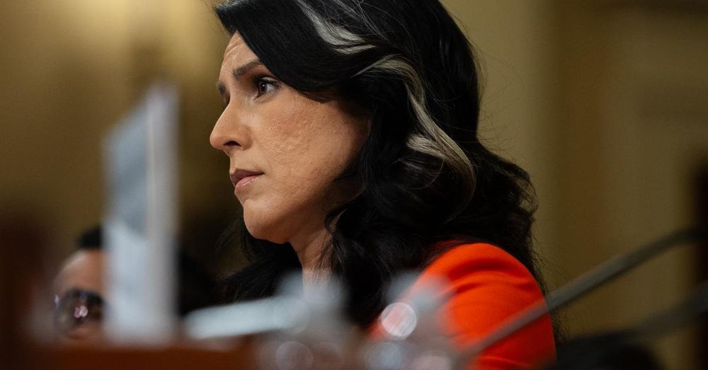 Gabbard reveals she sent two criminal referrals to the DOJ over leaks of classified information