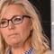 Texas Congressman: 'Liz, you didn't free any slaves'
