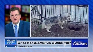 Husky Saves Owner’s Life from Gas Leak - Real America's Voice News