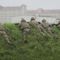 US, South Korea stage joint, large-scale military drills amid growing North Korea threats