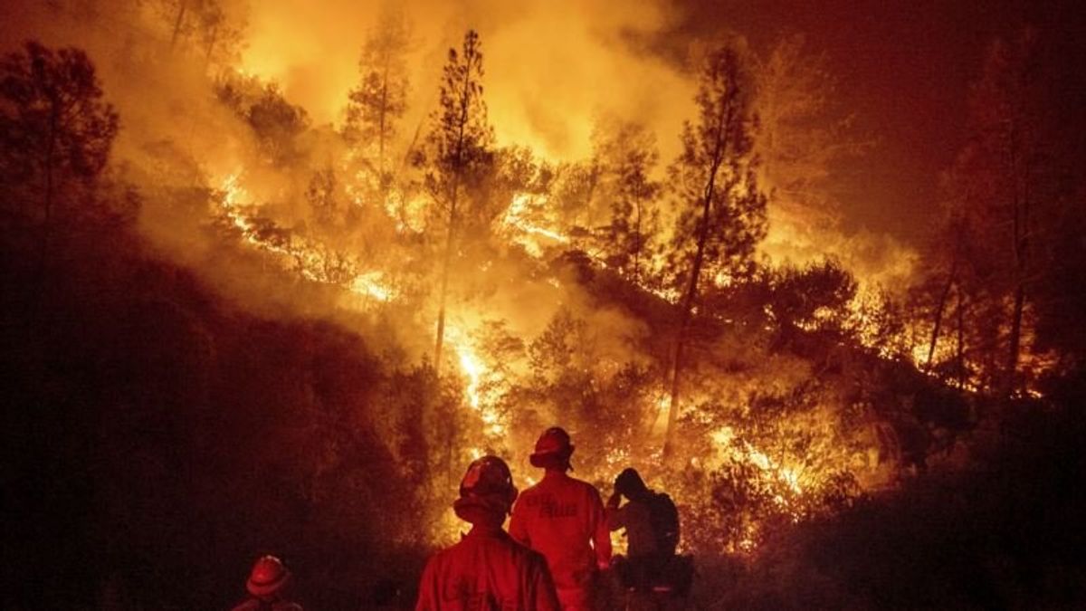 Trump Criticizes California Wildfire Work, Threatens Funding