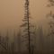 Wildfires continue to consume vast acreage across N. California; 94 fires currently ablaze in U.S.