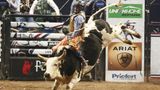 Rodeo bull escapes, injures six people in California