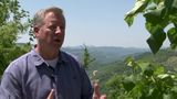 Conservancy Group Saves Forests and Jobs