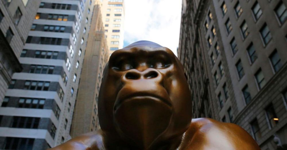 White House pays tribute to Harambe the gorilla on 10th anniversary of his death