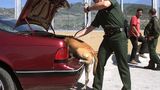 California Border Patrol chiefs describe closed checkpoints, rising security threats