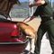 Border Patrol agents 'feel defeated' under Biden, says head of agency union