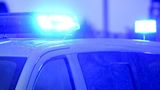 Woman arrested in connection with stolen vehicle from George Foreman estate