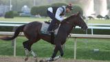 Golden Tempo wins 158th Belmont Stakes