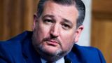 Sen. Cruz during Twitter back and forth with The Daily Show: 'I wear your scorn with pride'