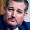 Sen. Cruz during Twitter back and forth with The Daily Show: 'I wear your scorn with pride'